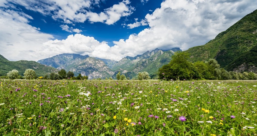 vacanze valtellina